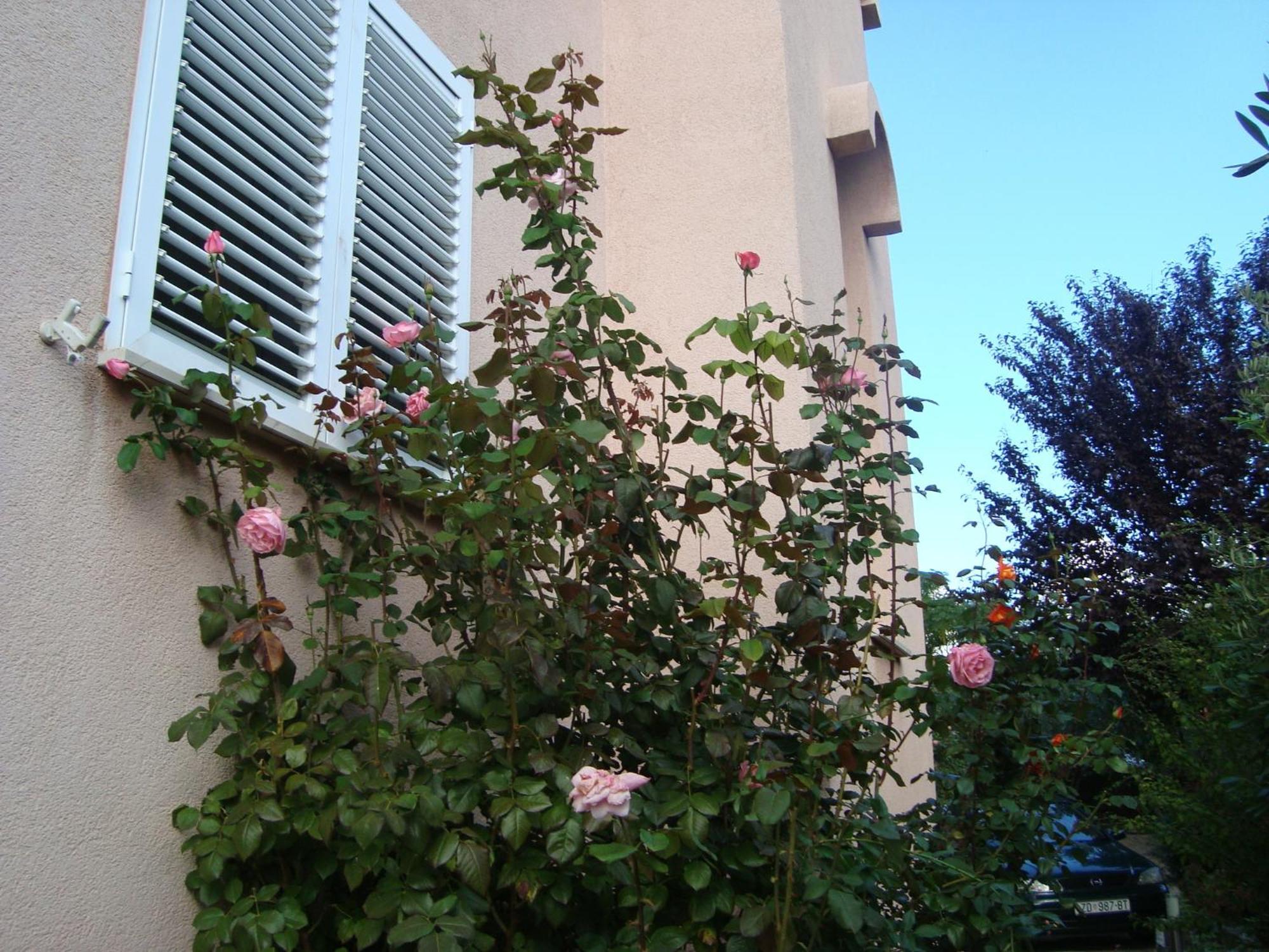 Apartament Eja Zadar